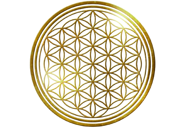 fotky__8_-removebg-preview